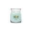 Yankee Candle Aloe & Agave 368 g