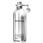 Montale Embruns d'Essaouira Eau de Parfum 100 ml